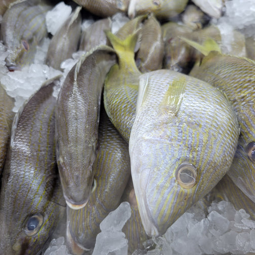Fresh Grunt fish being dried by Chef Ingrid Alliance