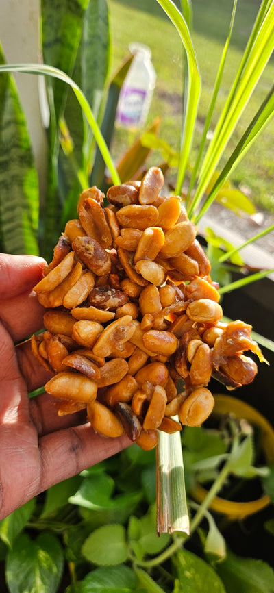 Tablèt pistach (Peanut brittle)