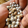 Pwa kongo sech (Dried pigeon peas) 2lb