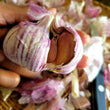 Purple garlic (Lay vyèlèt)